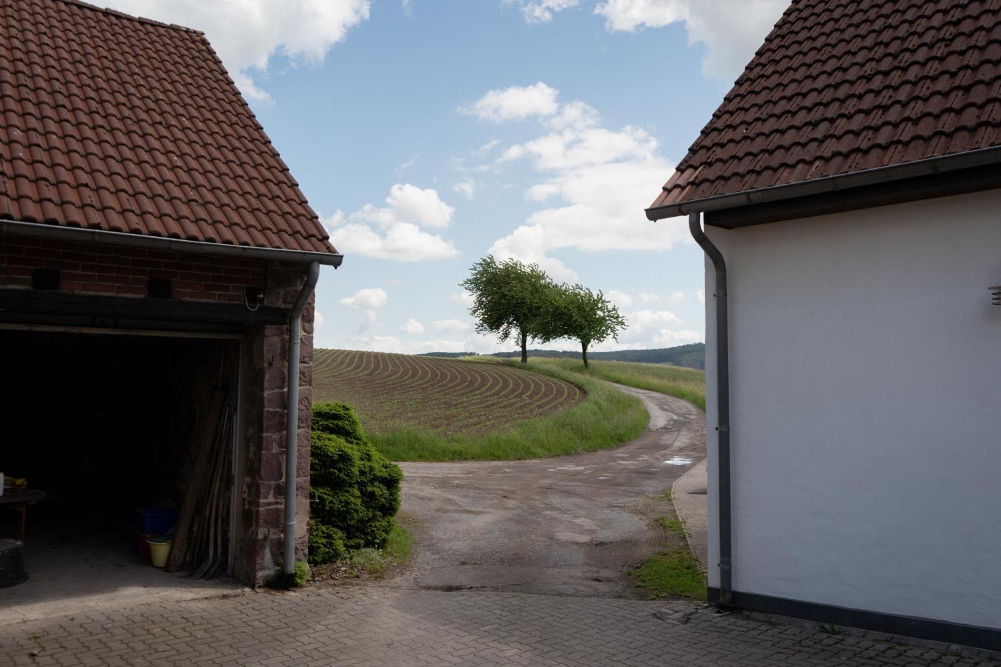 Idyllische Ferienwohnung Im Kalletal Buitenkant foto